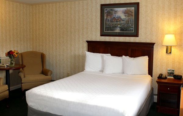 Image for QUEEN JACUZZI DOWNSTAIRS NON-SMOKING